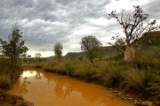 EL QUESTRO AFTER RAIN