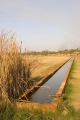 MYALL BORE, NR  DERBY  WA.  FAMOUS WATERING HOLE FOR CATTLE.