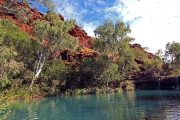 FERN POOL KARIJINI NP