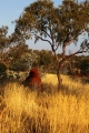 KARIJINI TERMITE MOUNDS