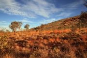 KARIJINI NP