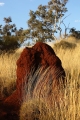 TERMITE MOUND KARIJINI