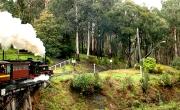 PUFFING BILLY  DANDENONG RANGES