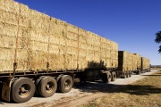 ROAD TRAIN WITH HAY NEAR DOON DOON