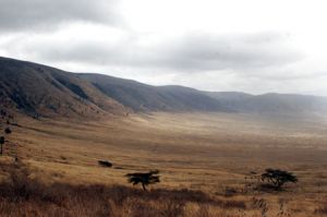 Ngorongoro Crater Game Reserve