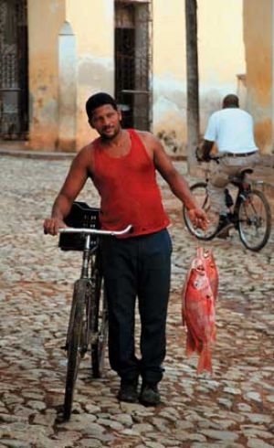 Fish And Cycle in Cienfuegos