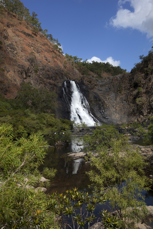 QLD DaintreeBloomfield